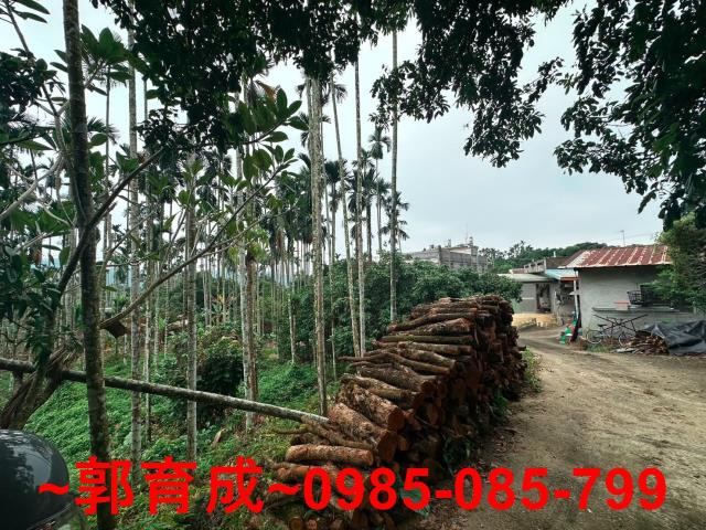 竹崎農地-7