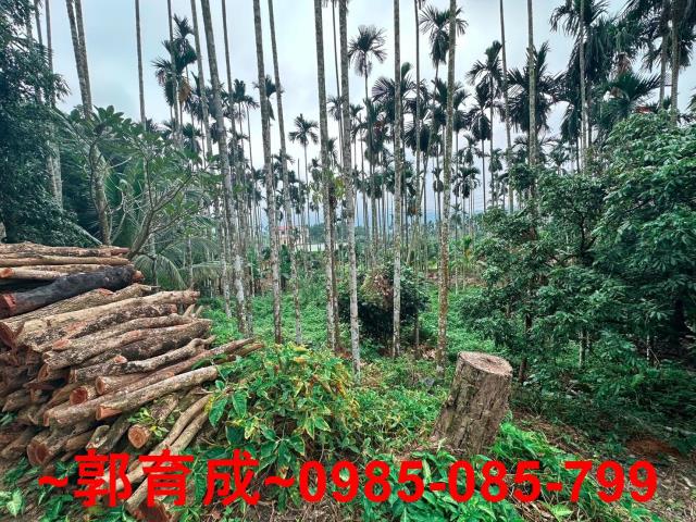 竹崎農地-9