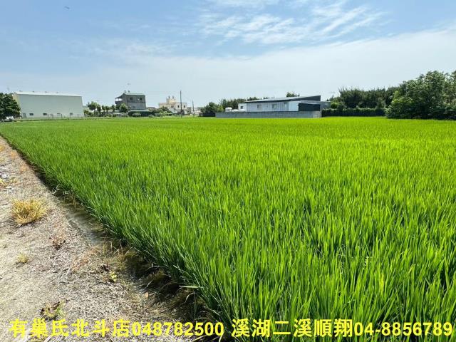 福興農地-2