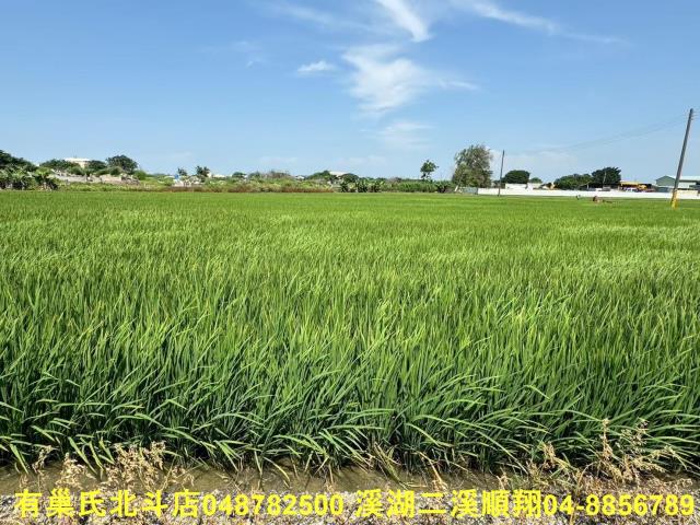 福興農地-3