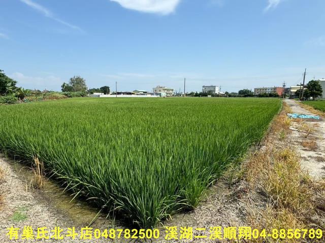 福興農地-6