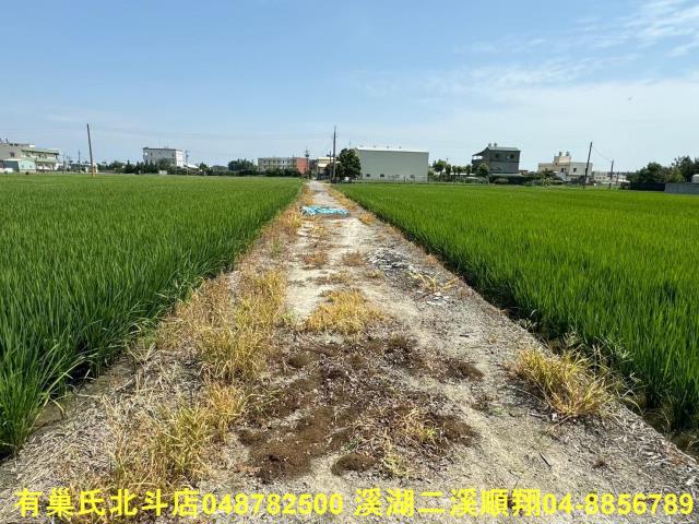 福興農地-7