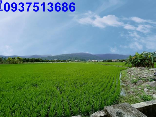 宜蘭三星農地-3