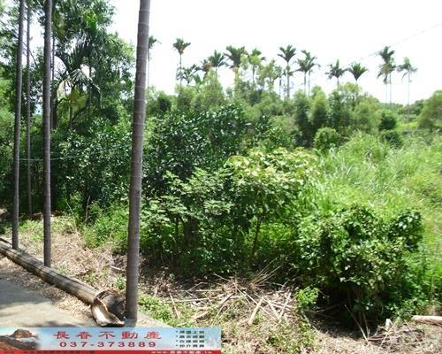 苗栗苗栗市農地-2
