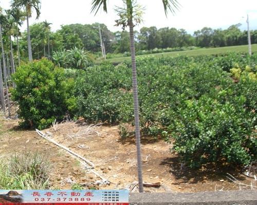 苗栗苗栗市農地-3