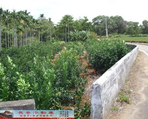 苗栗苗栗市農地-5