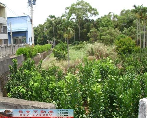 苗栗苗栗市農地-6