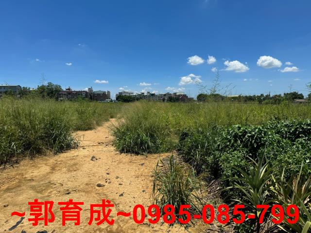 西區農地-2