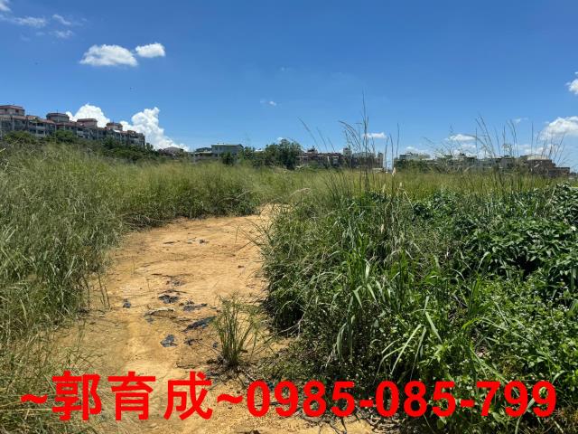 西區農地-3
