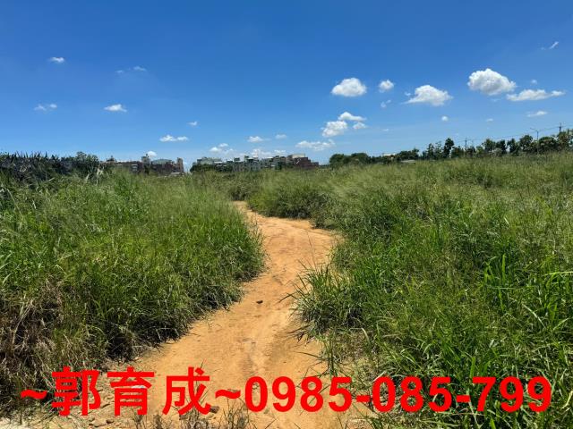 西區農地-5