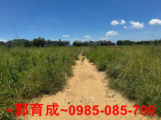 西區農地-7