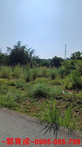 西區農地-8