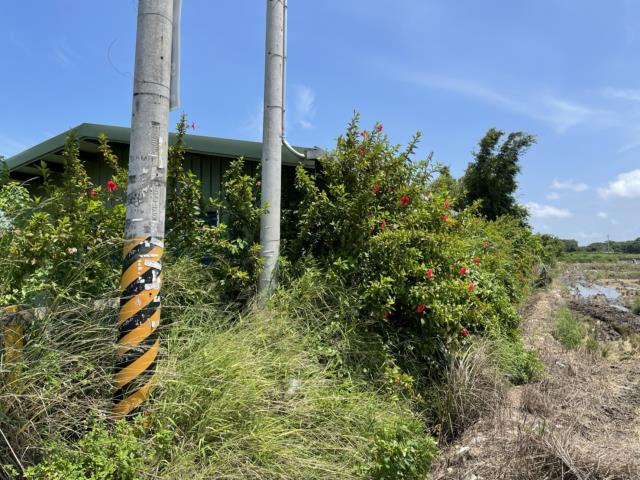 新豐農地-2