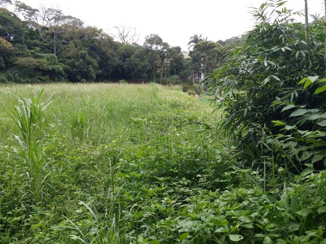 楊梅建地-4