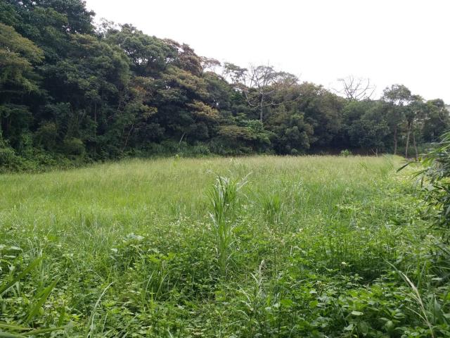 楊梅建地-5