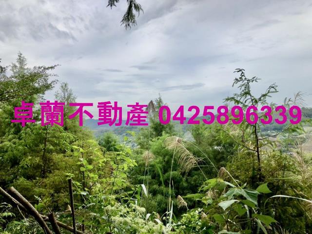苗栗卓蘭農地-1
