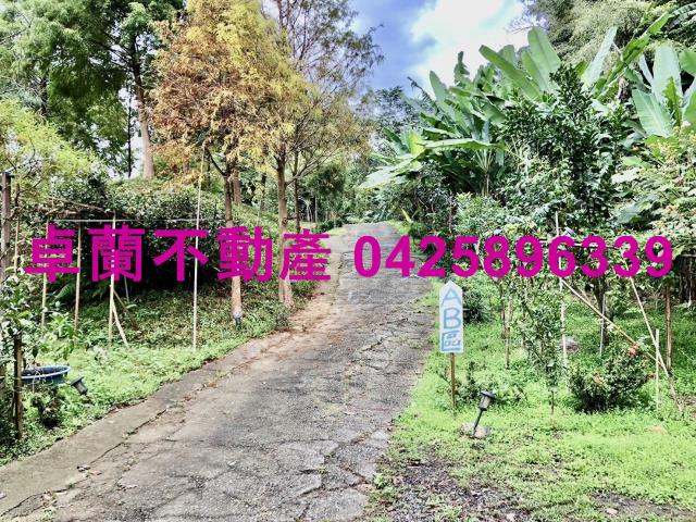 苗栗卓蘭農地-8