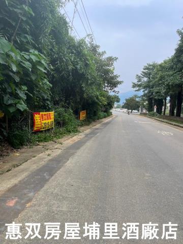 南投埔里農地-1