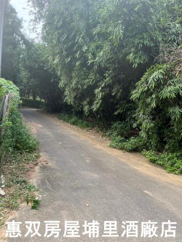 南投埔里農地-3