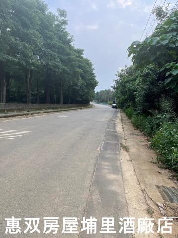 南投埔里農地-4