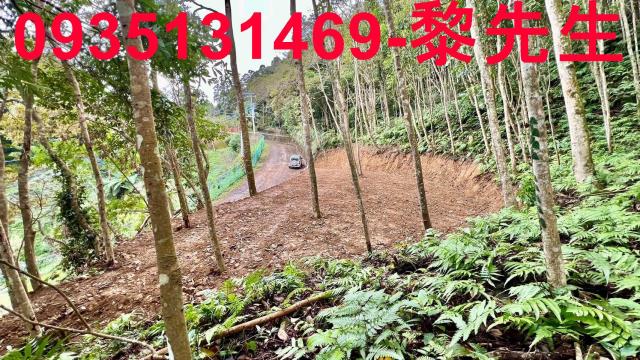 新竹橫山農地-1