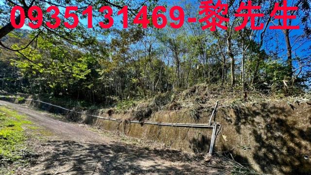 新竹橫山農地-6