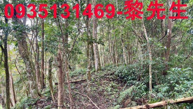新竹橫山農地-9