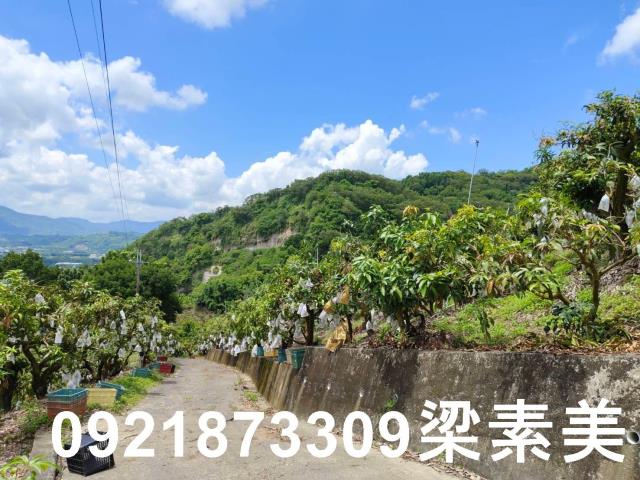 玉井農地-1
