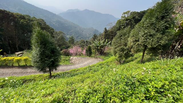 北埔農地-10