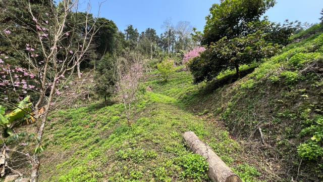 北埔農地-14