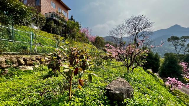 北埔農地-2