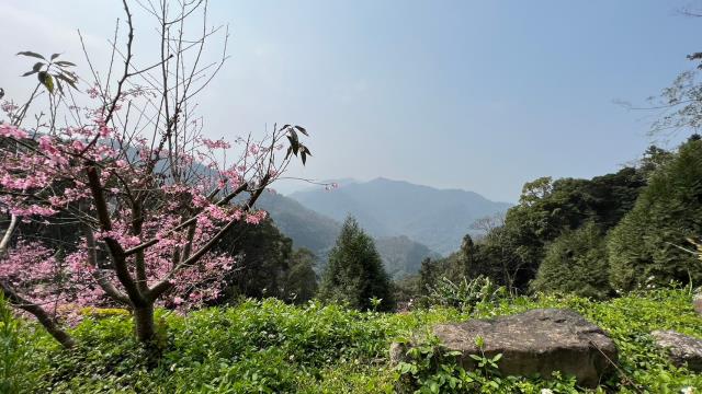 北埔農地-3