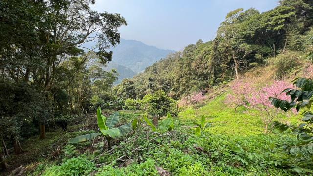 北埔農地-6