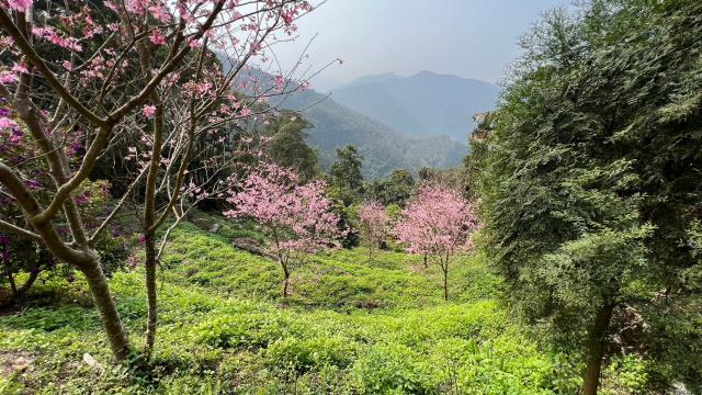 北埔農地-9