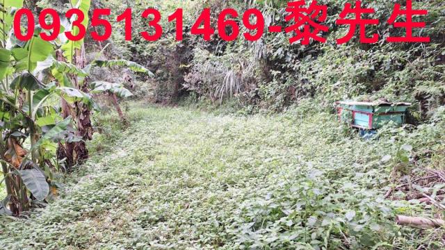三灣農地-12