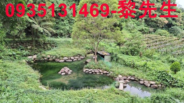 三灣農地-1