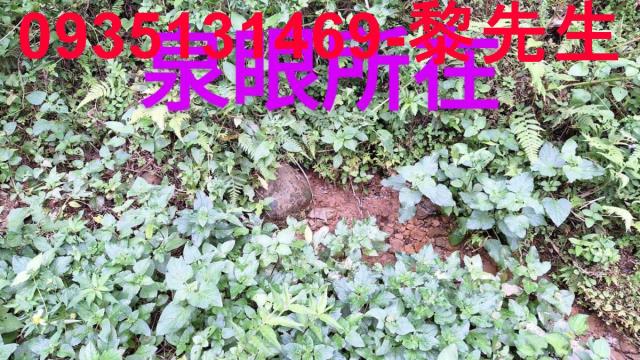 三灣農地-14