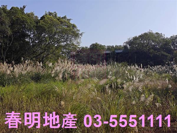 湖口農地-9