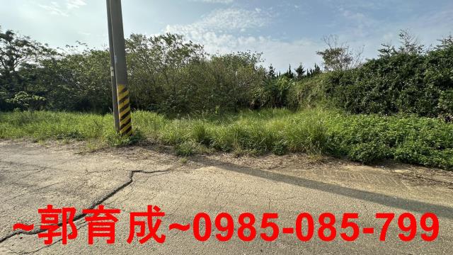 湖口農地-2
