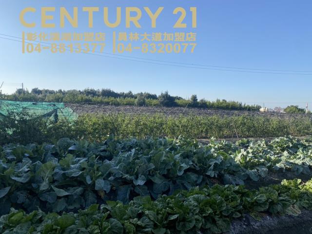 溪湖農地-4