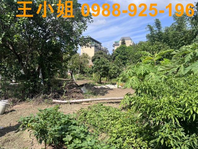 桃園區農地-9
