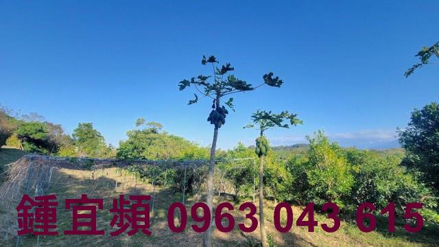 苗栗農地-10