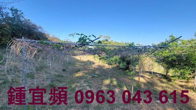 苗栗農地-11