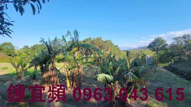 苗栗農地-15