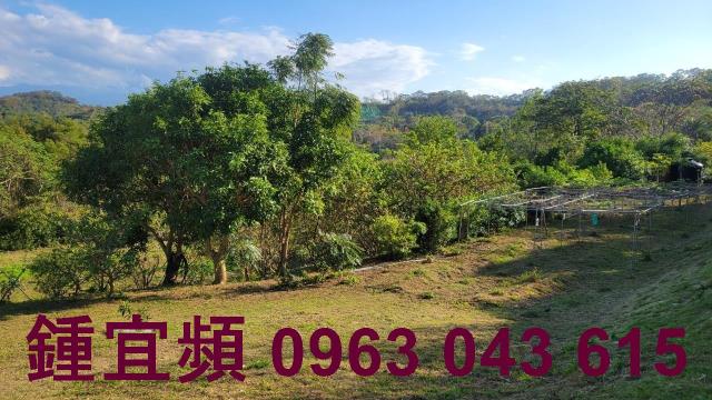 苗栗農地-2
