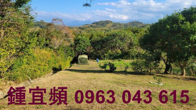 苗栗農地-3