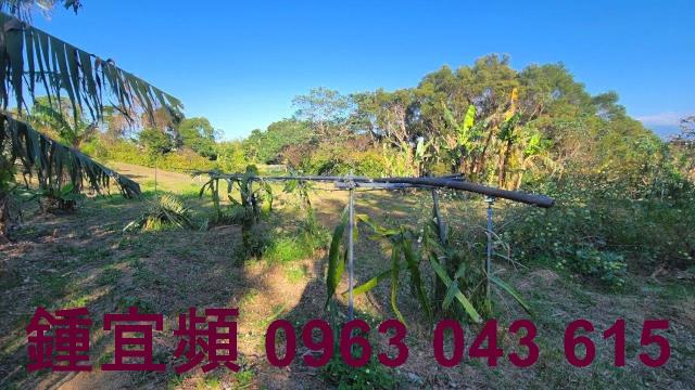 苗栗農地-5