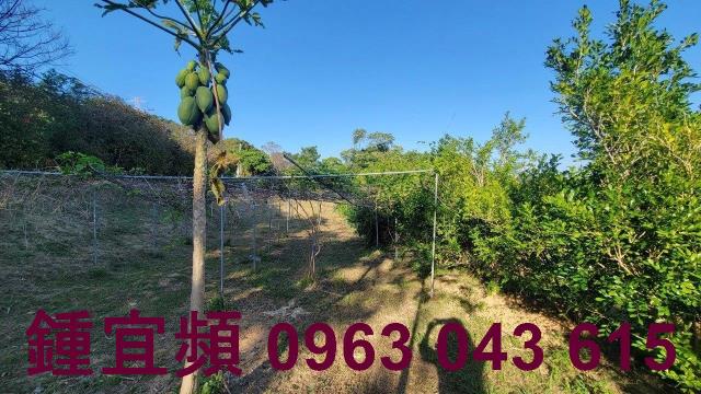 苗栗農地-9
