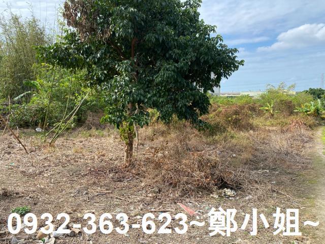 桃園桃園區農地-3