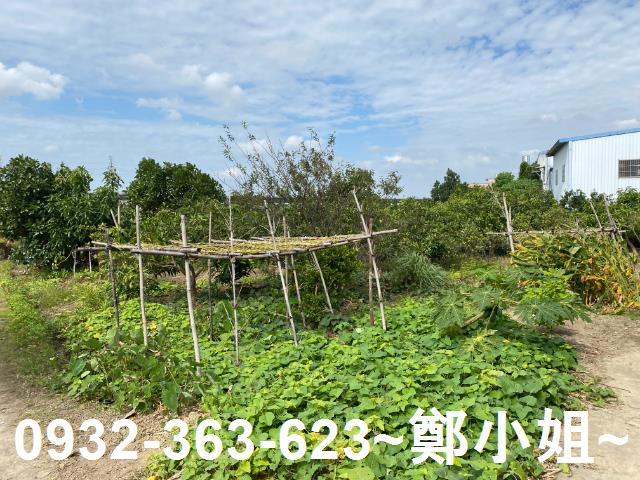 桃園桃園區農地-4